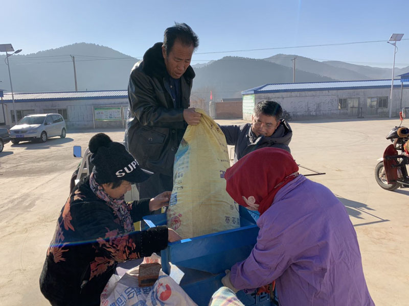 收購現(xiàn)場，王強(qiáng)（右二）幫助村民抬小米