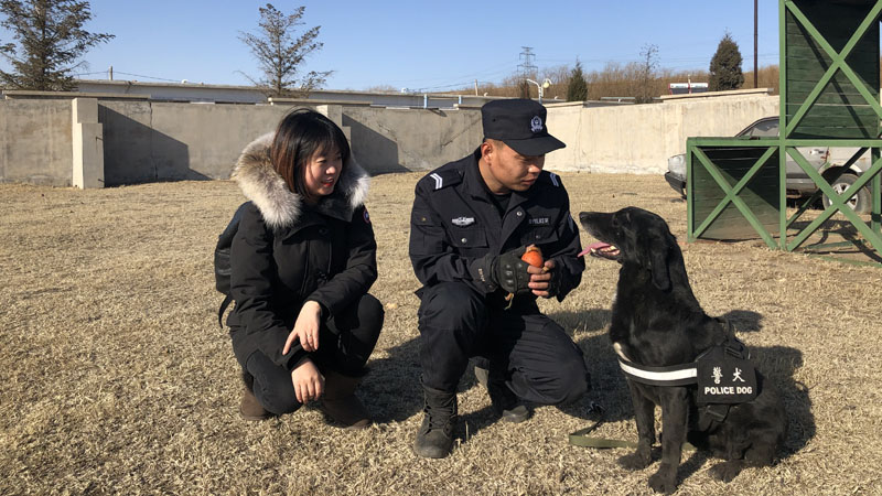 記者同柳宗健（中）一起訓(xùn)練警犬忠誠(chéng)