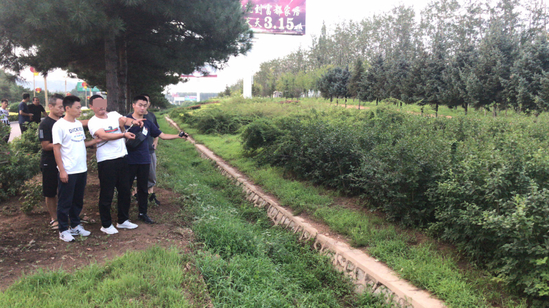 指認拋物現場