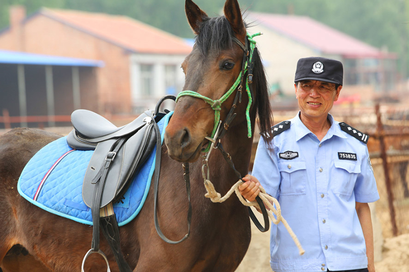 民警每天都悉心照料著愛馬。