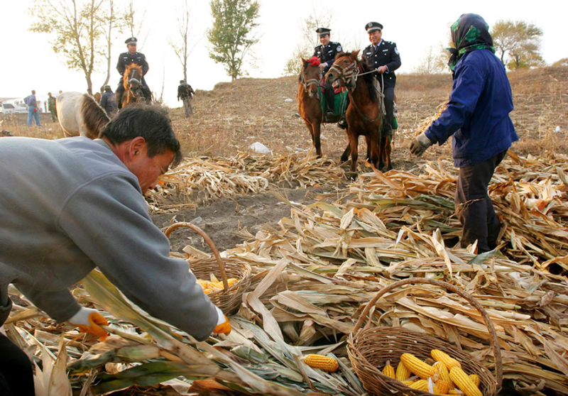 2009年10月，“馬背110”民警在田間巡邏。